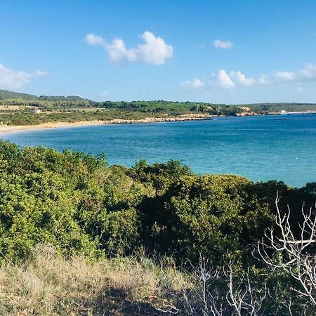 Cala Azul Residence B&B 阿尔盖罗 外观 照片