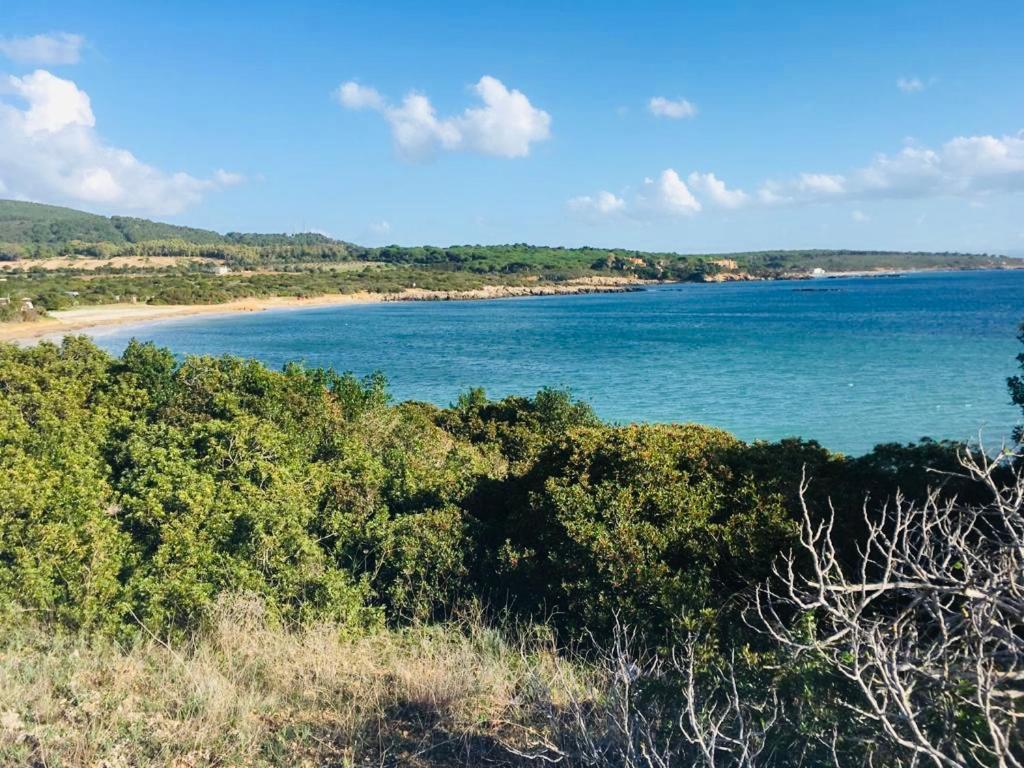 Cala Azul Residence B&B 阿尔盖罗 外观 照片
