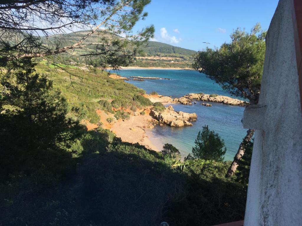 Cala Azul Residence B&B 阿尔盖罗 外观 照片